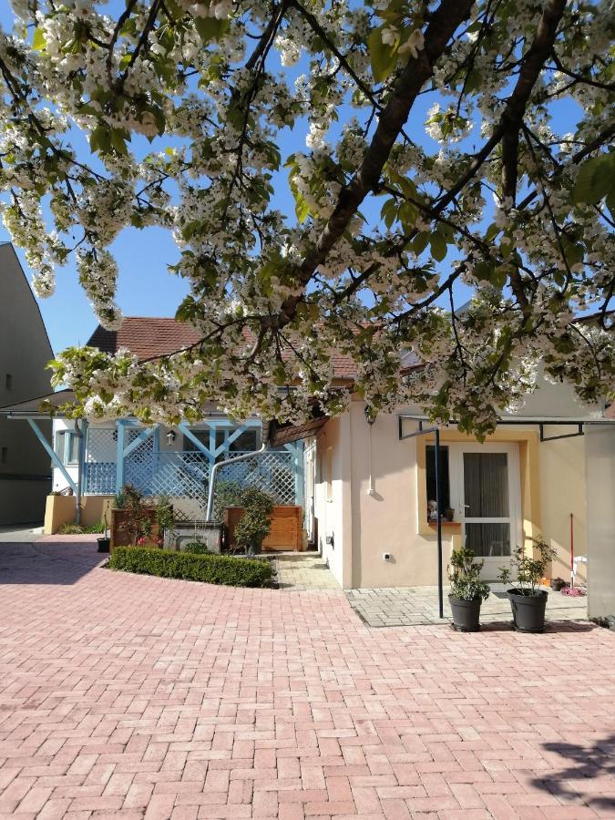 Anna Vendeghaz Lägenhet Keszthely Exteriör bild